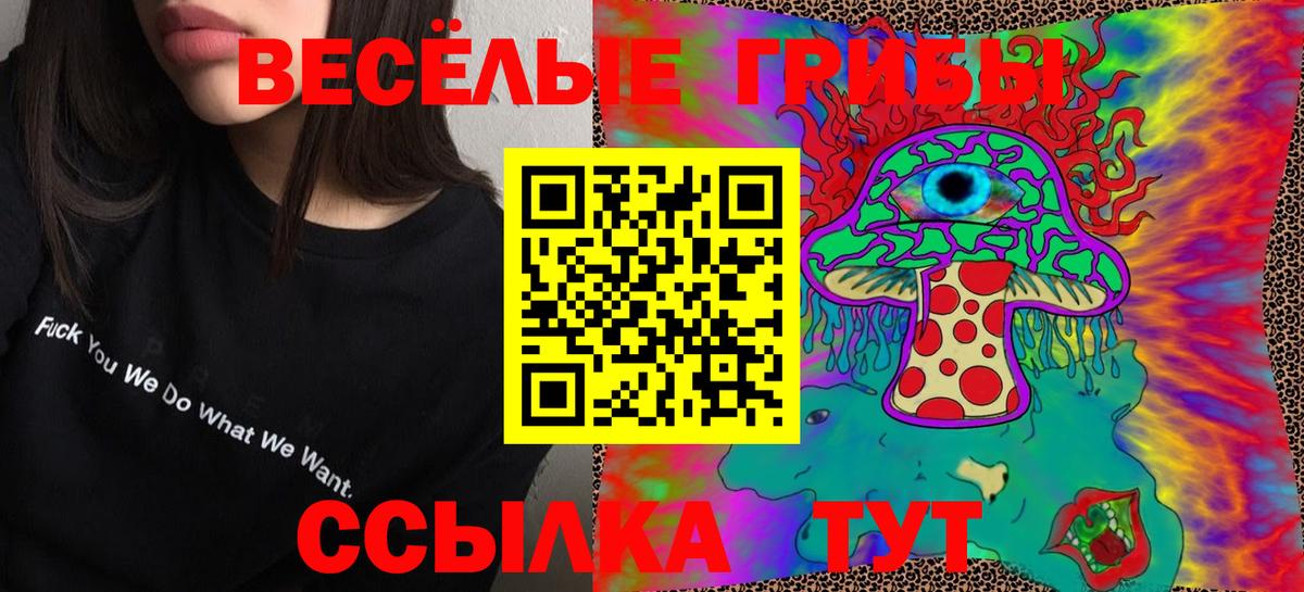 Железногорск  Галлюциногенные грибы Magic Shrooms  Вход с VPN 